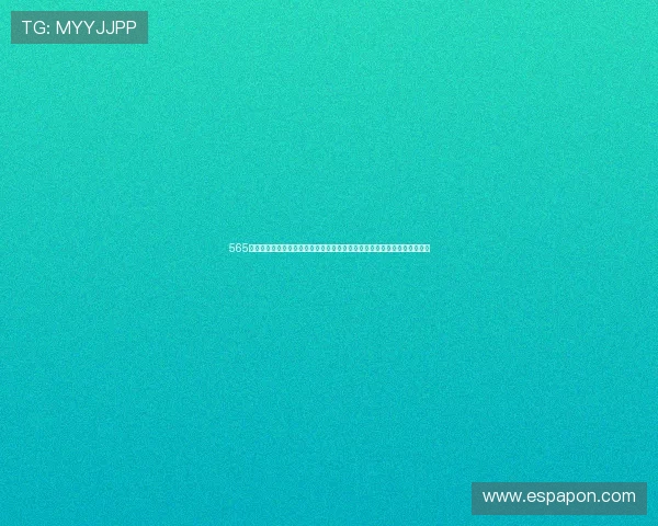 565体育娱乐网页：结合视频、图集等多媒体内容，打造沉浸式世界杯报道体验